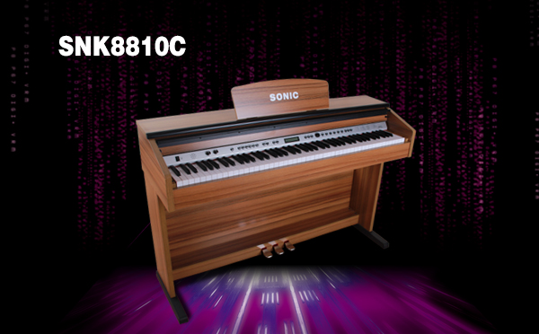 SNK8810c-Wood pattern